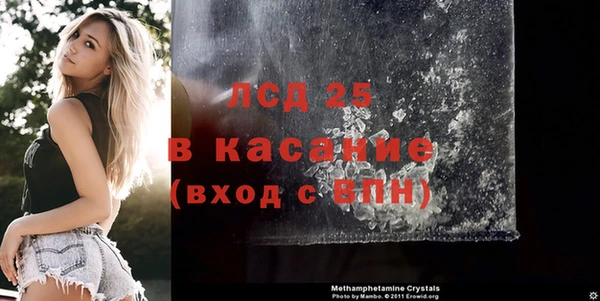 индика Майский