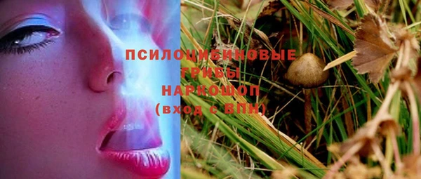не бодяженный Арсеньев