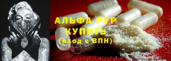 твердый Аркадак